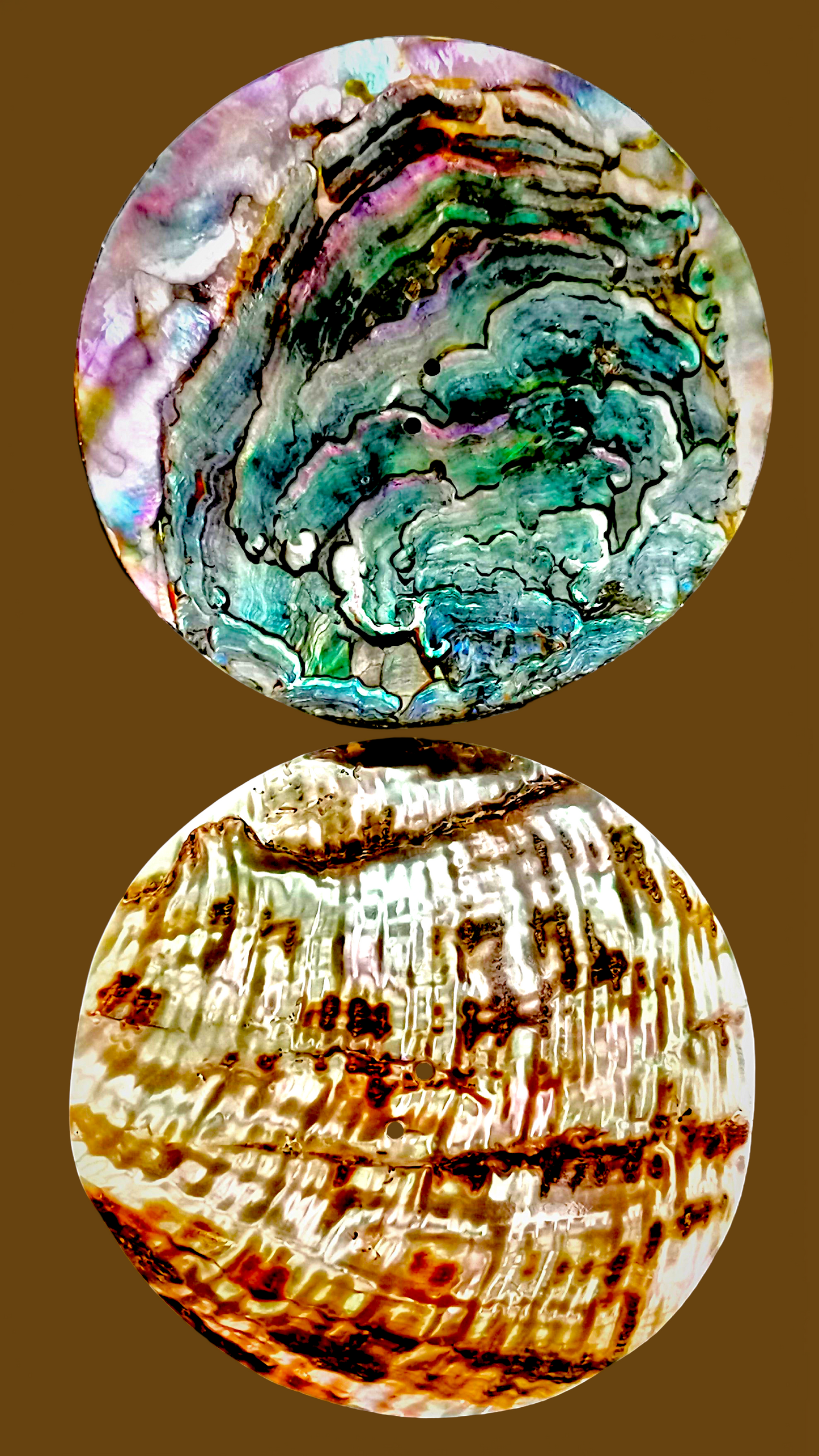#2282 Green Abalone Seashell Button 65mm
