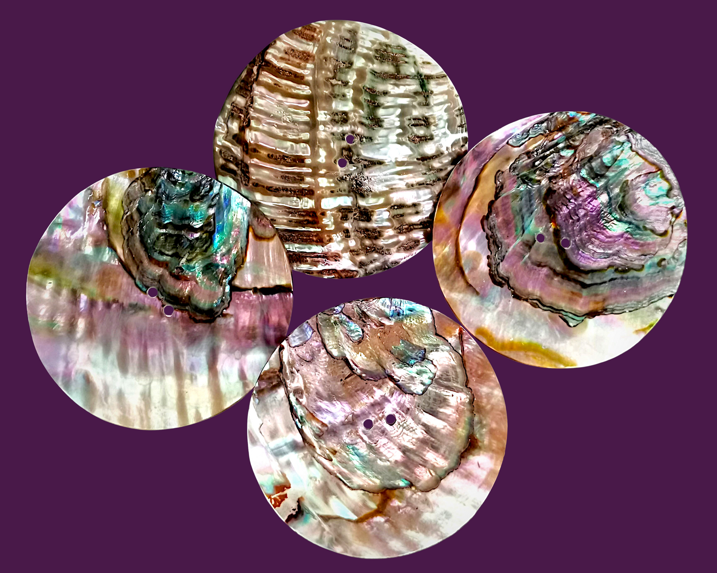 #2286 Green Abalone Buttons 45mm