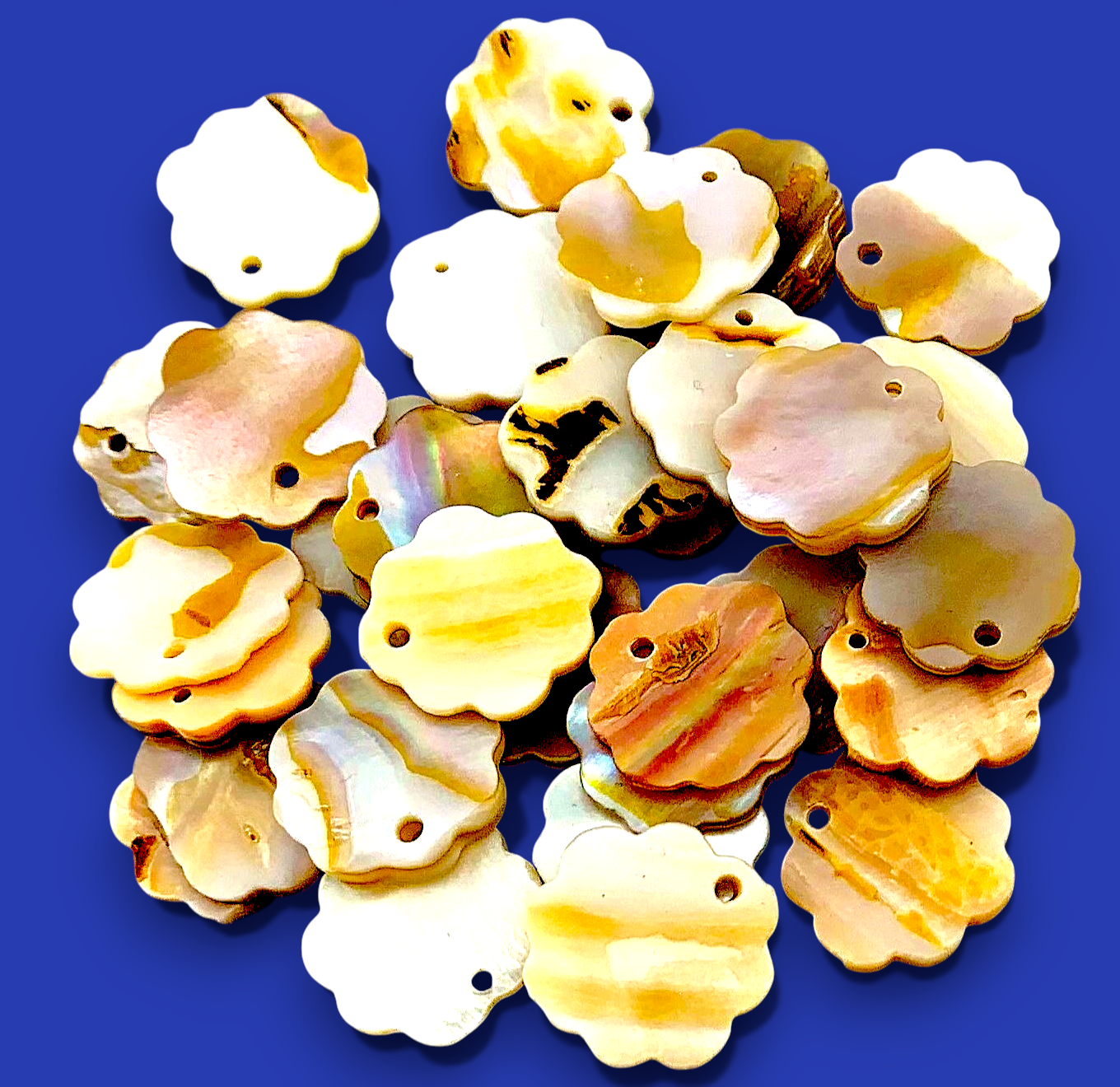 #3029 River Mussel Shell Flower-shaped 5/8" Top Hole