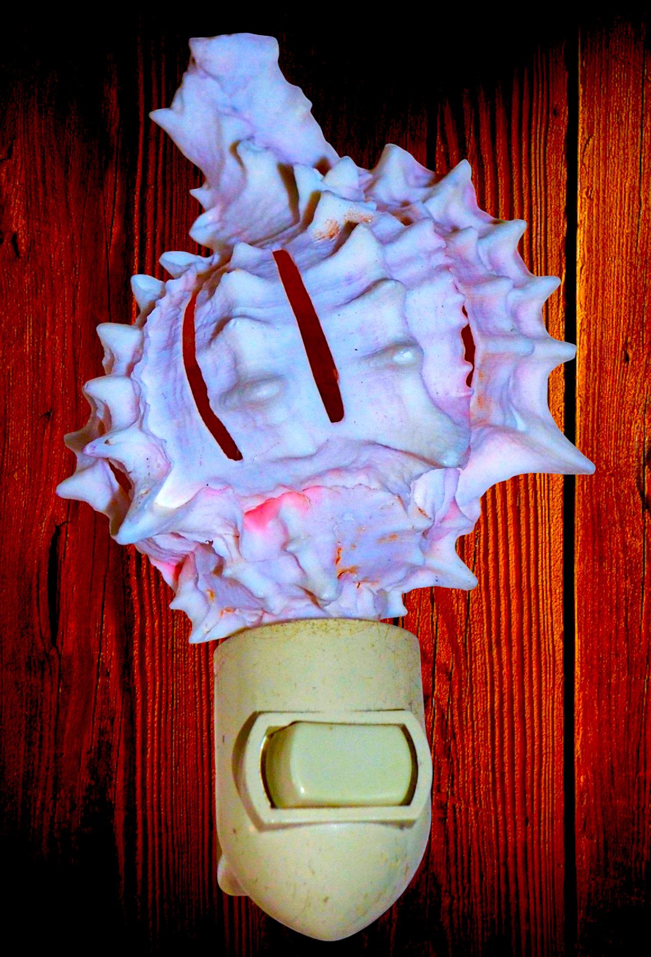 #7185 Pink Murex Shell Nitelight 4"_5"