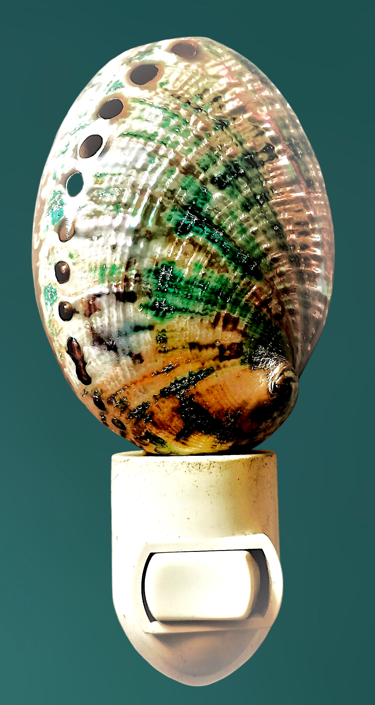 #7202AB Mini Green abalone nightlight 4"- 5"