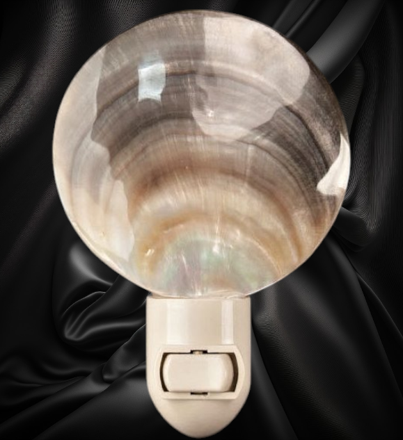 #7390A Pearl Oyster (Pinctada margaritifera) Nightlight 4"-5"