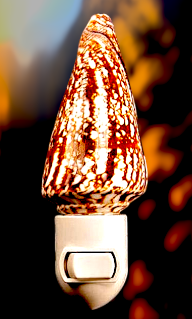 #7910 Cone Shell Nightlight 4"- 5"