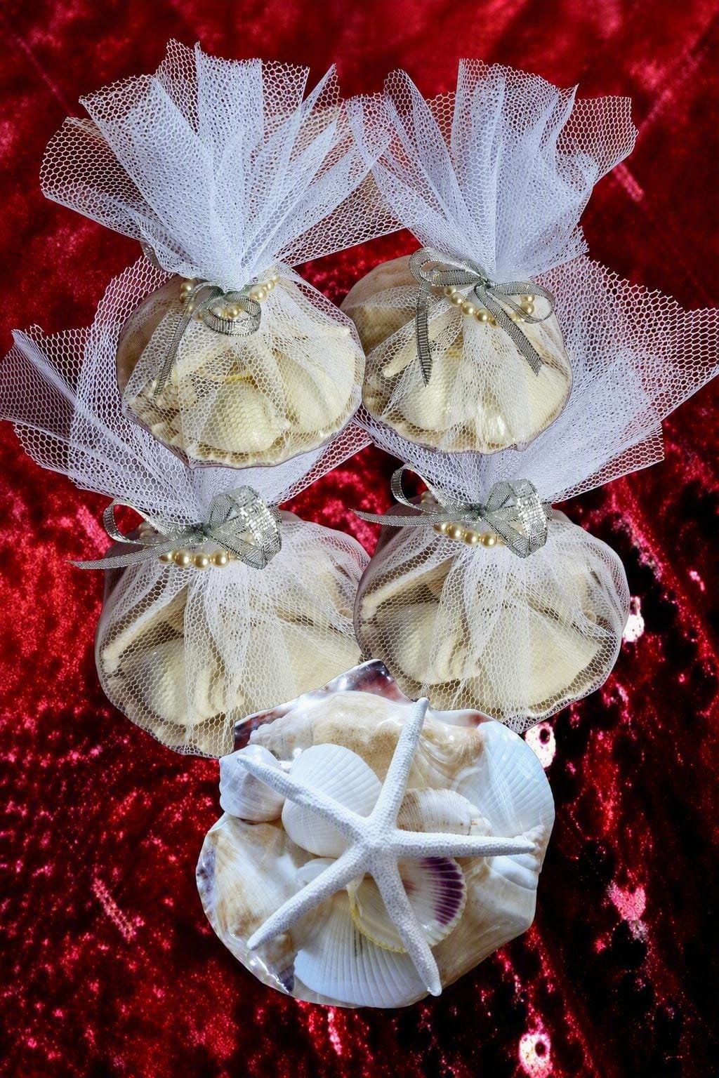 9077 (Wedding Shell Packs) (3-5")