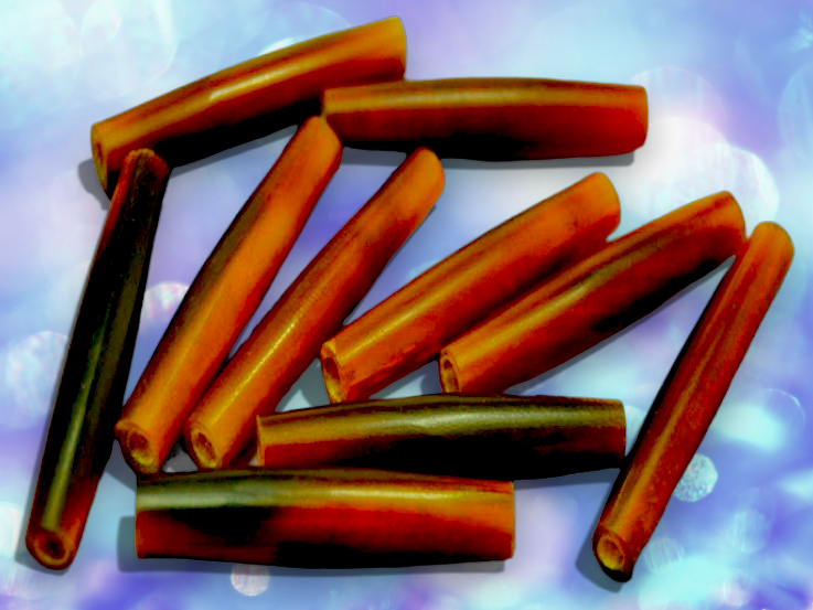 BD-75 Water Buffalo Horn Hair Pipe Beads 2"