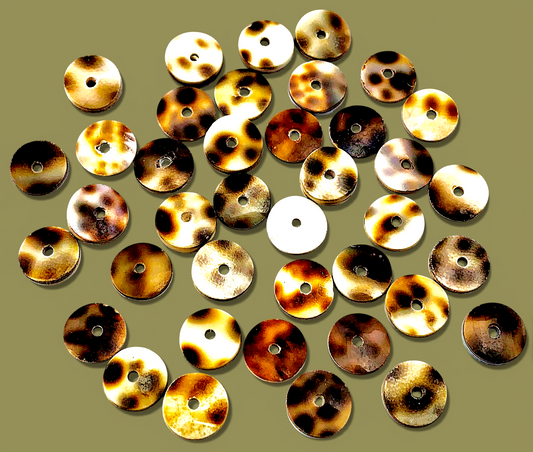 #2014 Tiger Cowrie Disc With Center Hole 14mm