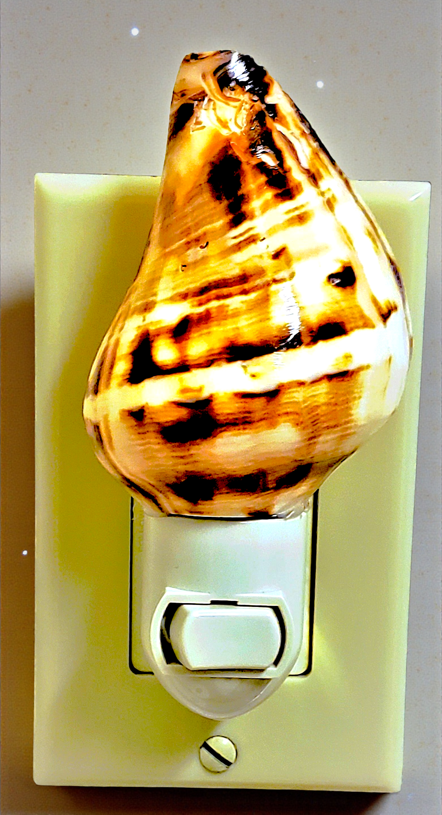 #7186 Fiber conch nightlight 5"- 6"
