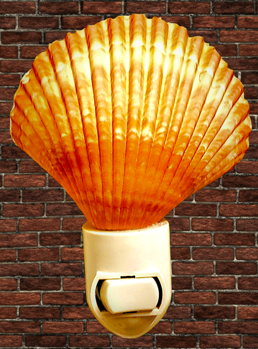 #7187 Yellow cup scallop nightlight 4"- 5"