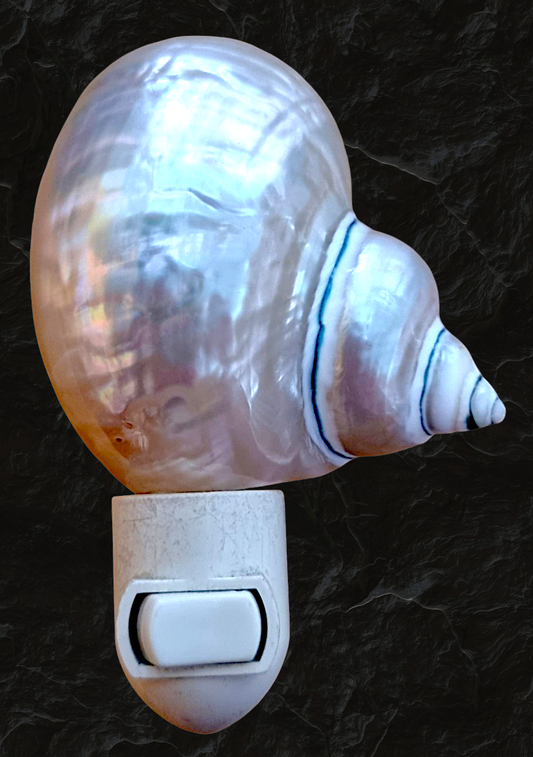 #7192 Jade turbo pearlized nightlight 4"- 5"