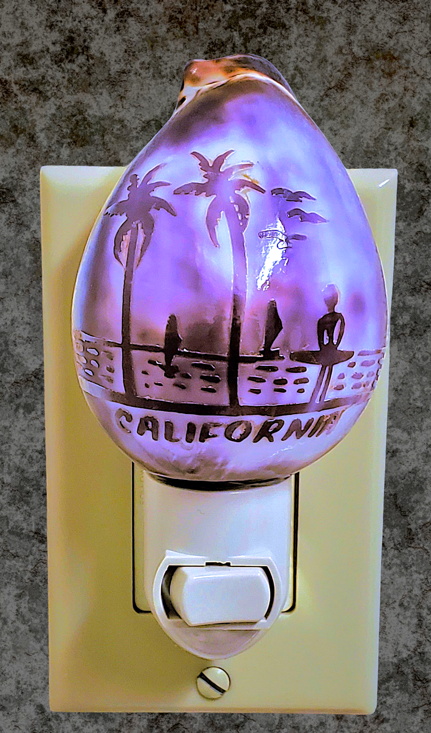 #7194 Tiger cowrie Nightlight Carved with CALIFORNIA Name drop 4"- 5"