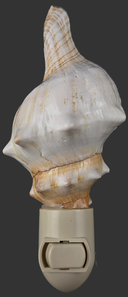7199 (Fox Shell Nightlight 5-6")