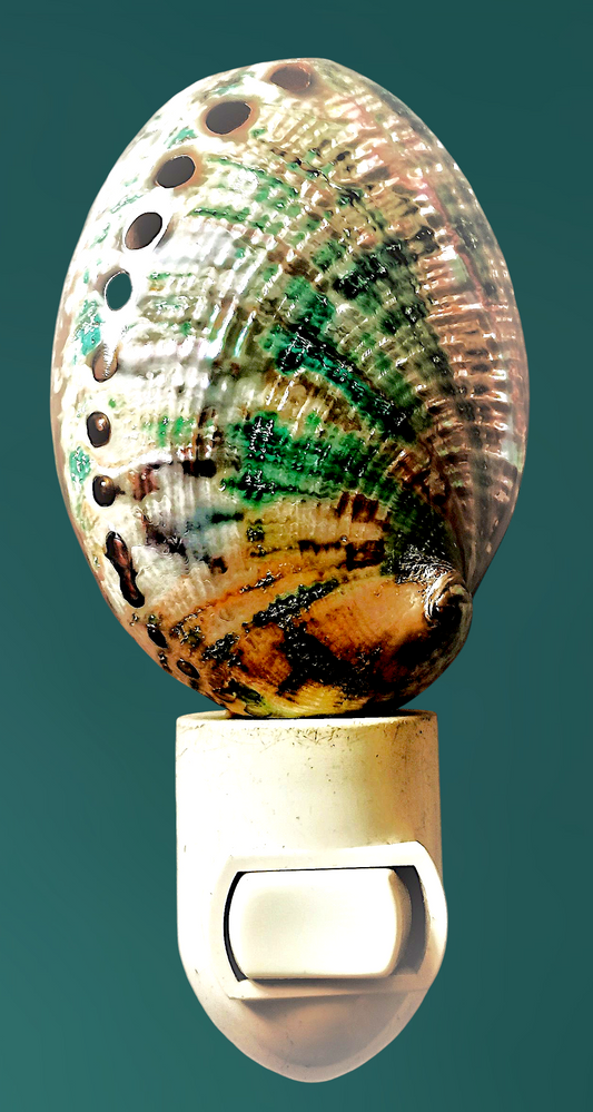 #7202AB Mini Green abalone nightlight 4"- 5"