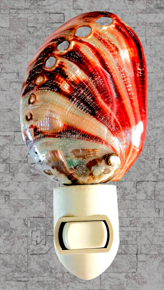 #7202 Red abalone polished nightlight 4"- 5"