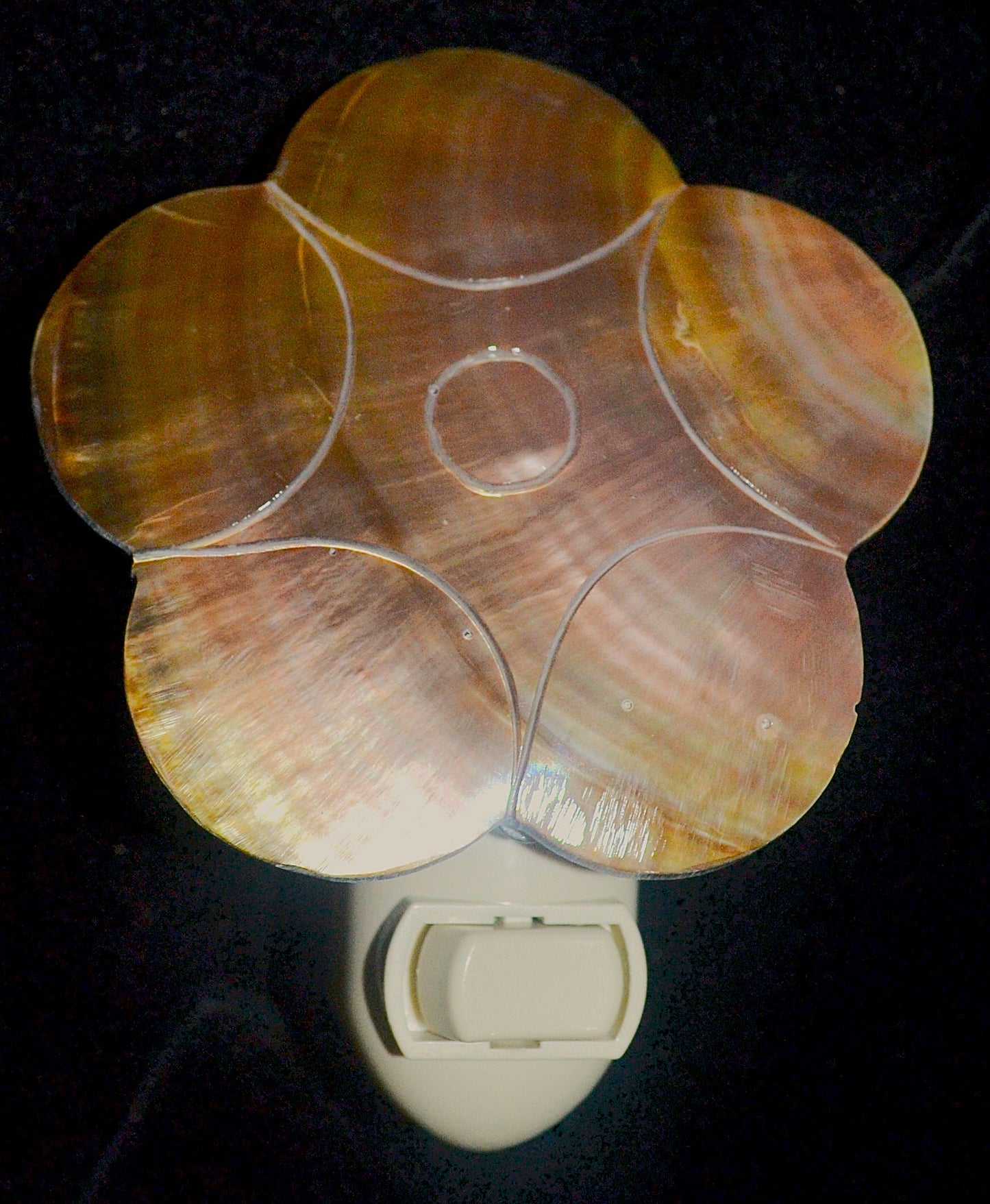 #7306 Black Lip Seashell Flower Design Nightlight 4"- 5"