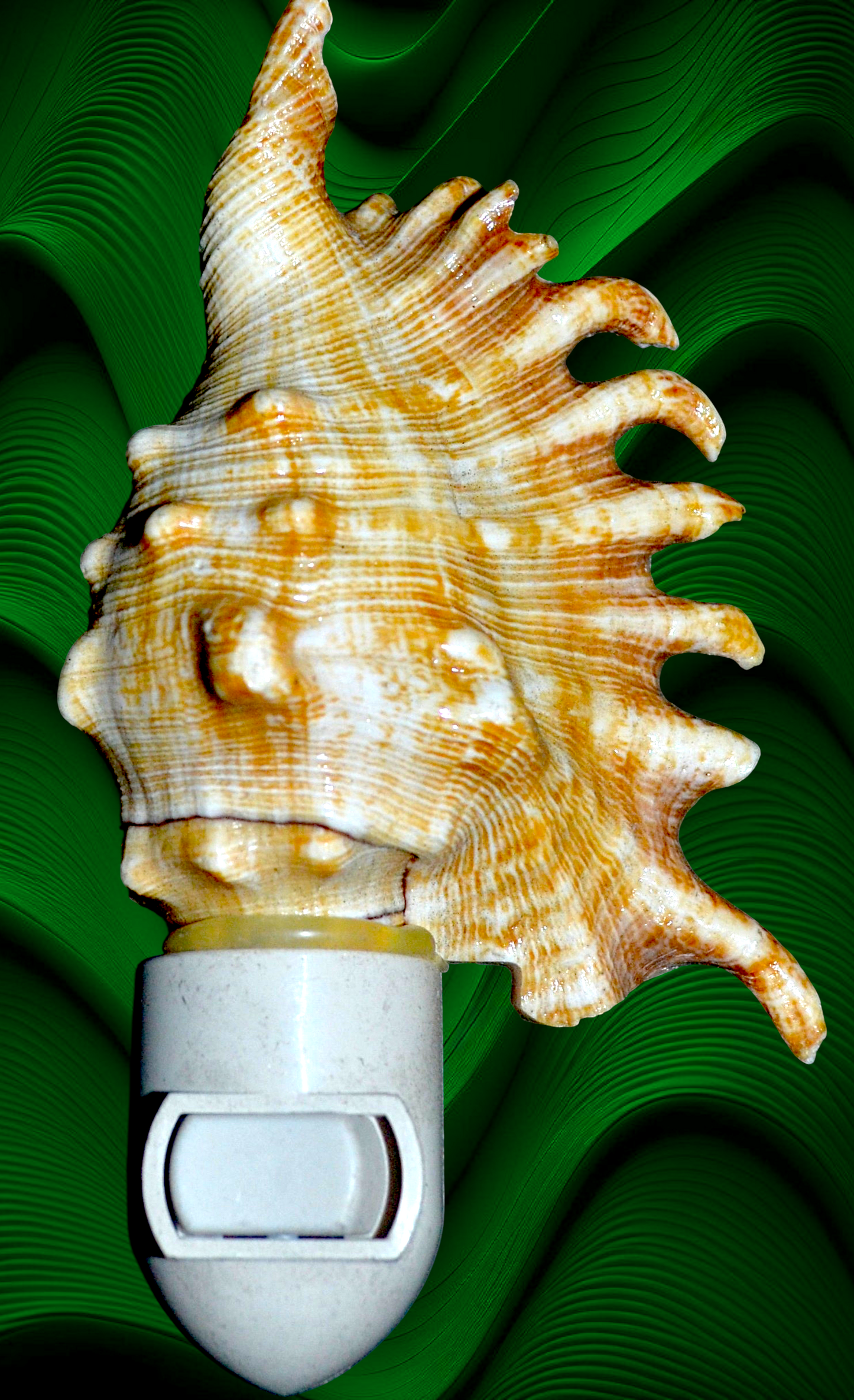 #7346 Scorpion Conch (Lambis scorpius) Nightlight 4"- 5"