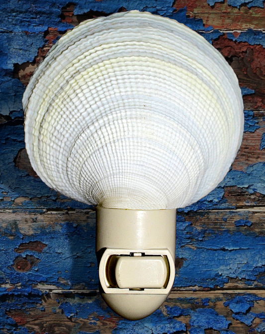 #7347 Tirana Tigerina Brush-polished nightlight 4"- 5"