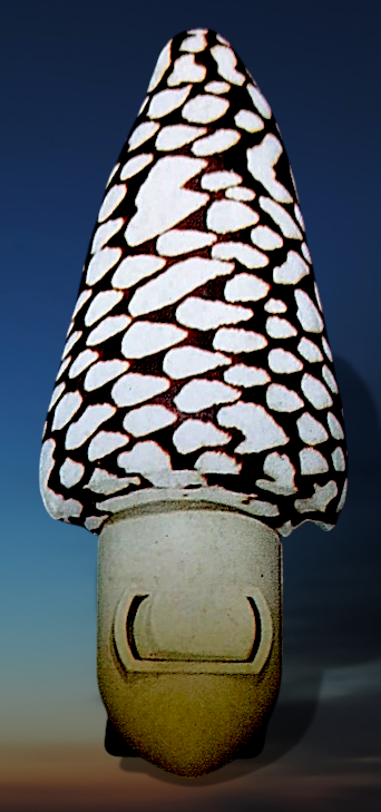 #7386 Conus Marmoreus Nightlight 4"- 5"