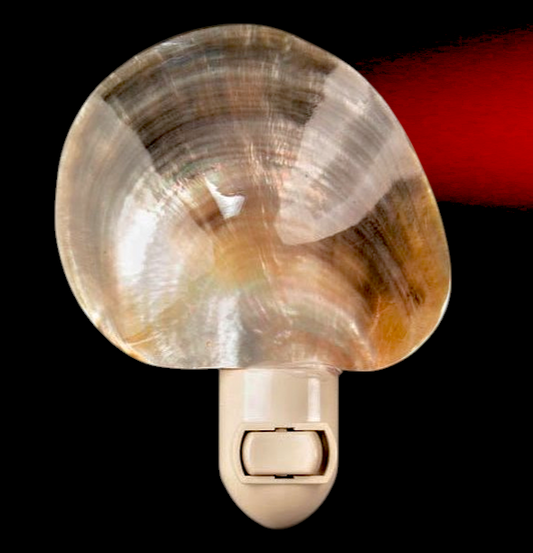 #7486 Pearl oyster Natural Shape Nightlight 4"- 5"