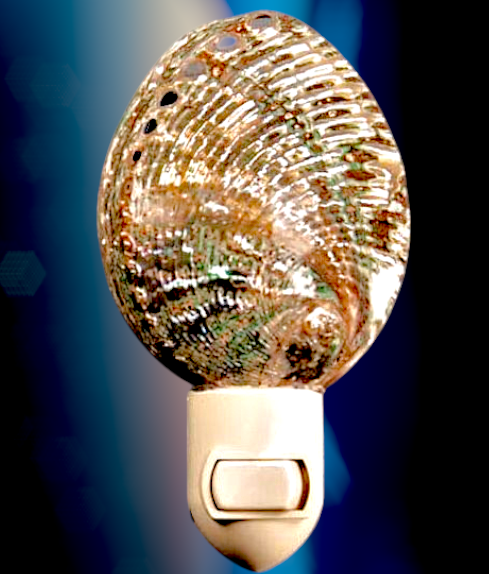 #7487 Midas Abalone Polished Nightlight 4"- 5"