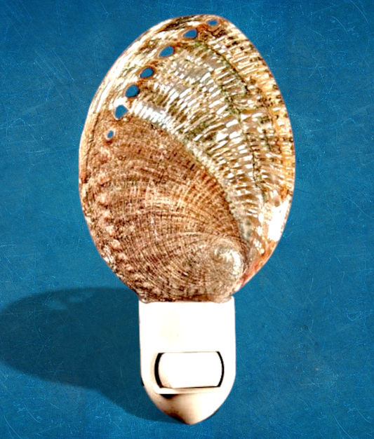 #7488 Midas Abalone Half-polished Nightlight 4"- 5"