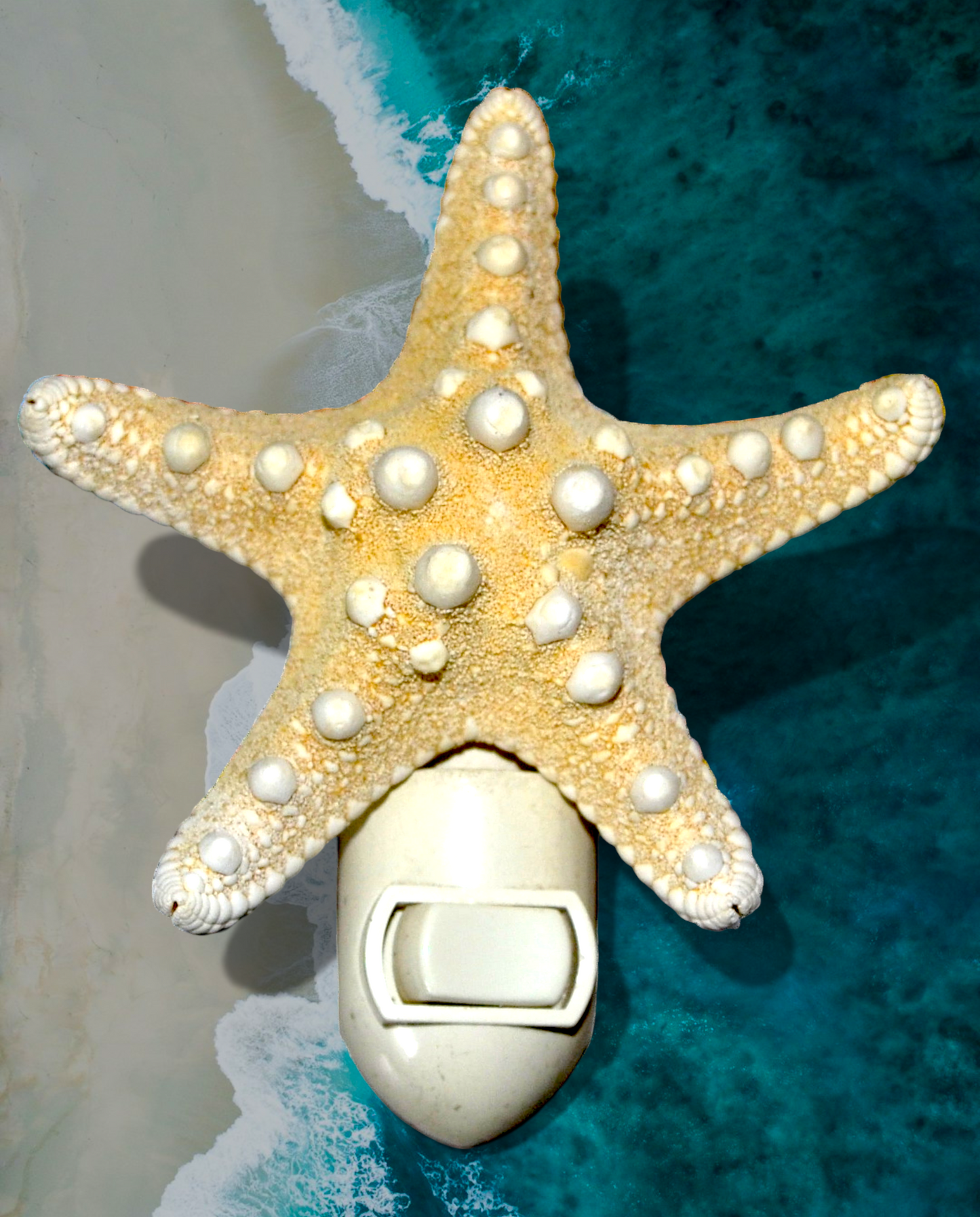 #7767 Knobby Starfish Nightlight 4"- 6"