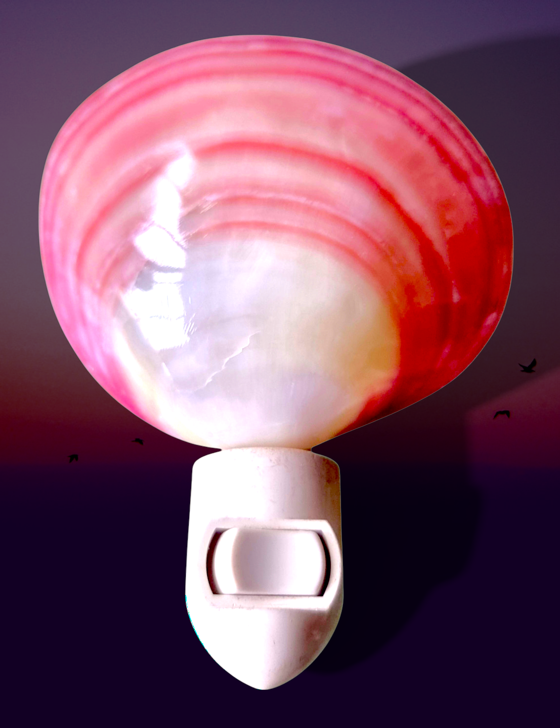 #7861 Pink clam (Codakia tigerina) Nightlight 4"- 5"