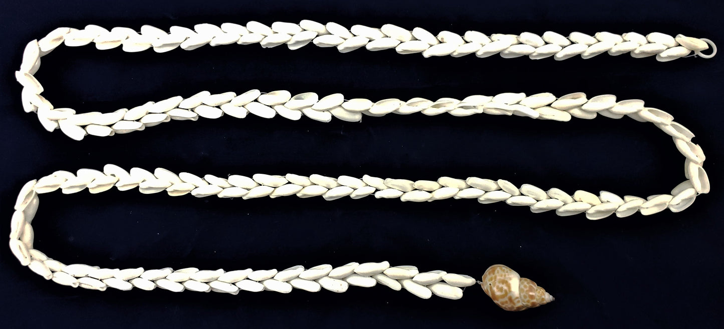 #7920 Seashell Strung 6 ft.