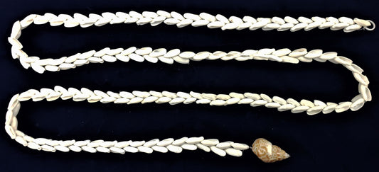 #7920 Seashell Strung 6 ft.