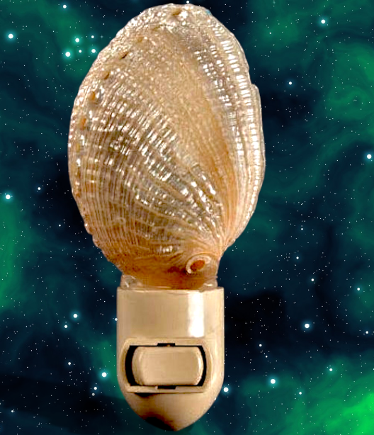 #7930 Abalone Shell Polished Nightlight 4"- 5"