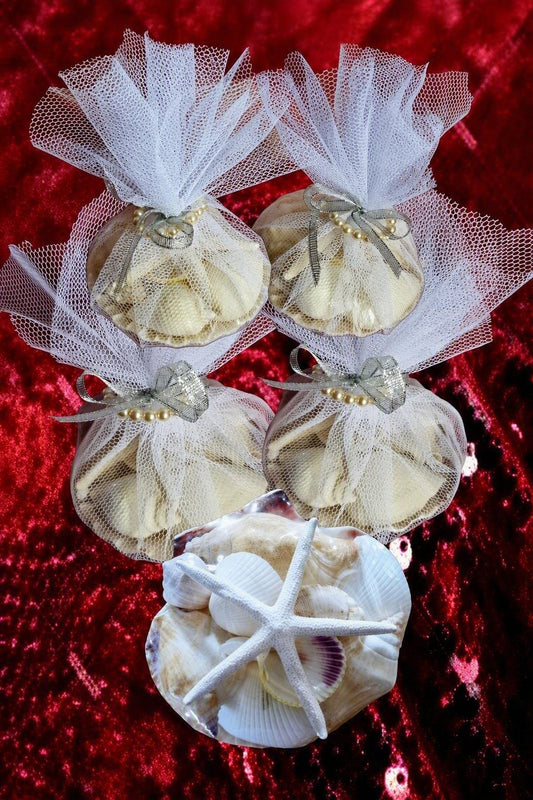 9077 (Wedding Shell Packs) (3-5")