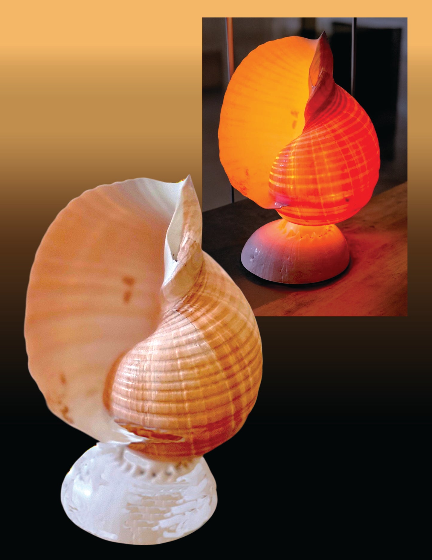 #9167 Tonna dolium table lamp 7"- 8"