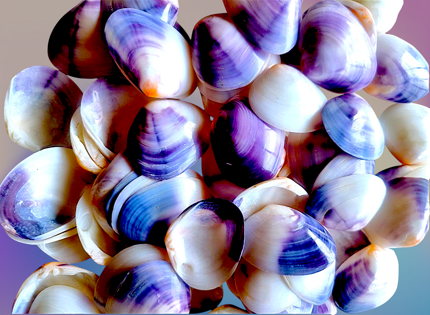 #9211