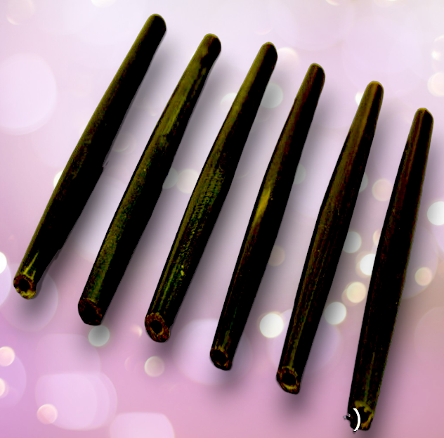 BD-64 Water Buffalo Horn Hair Pipe Beads 3"
