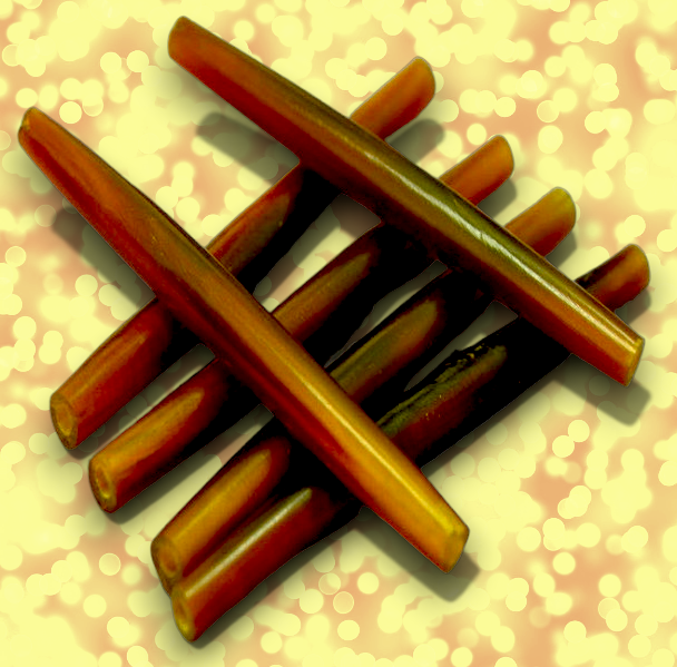 BD-77 Water Buffalo Horn Hair Pipe Beads 4"