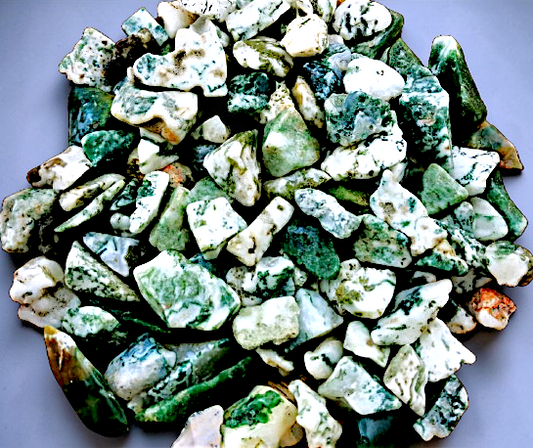 F-1259 Tree Agate 15mm