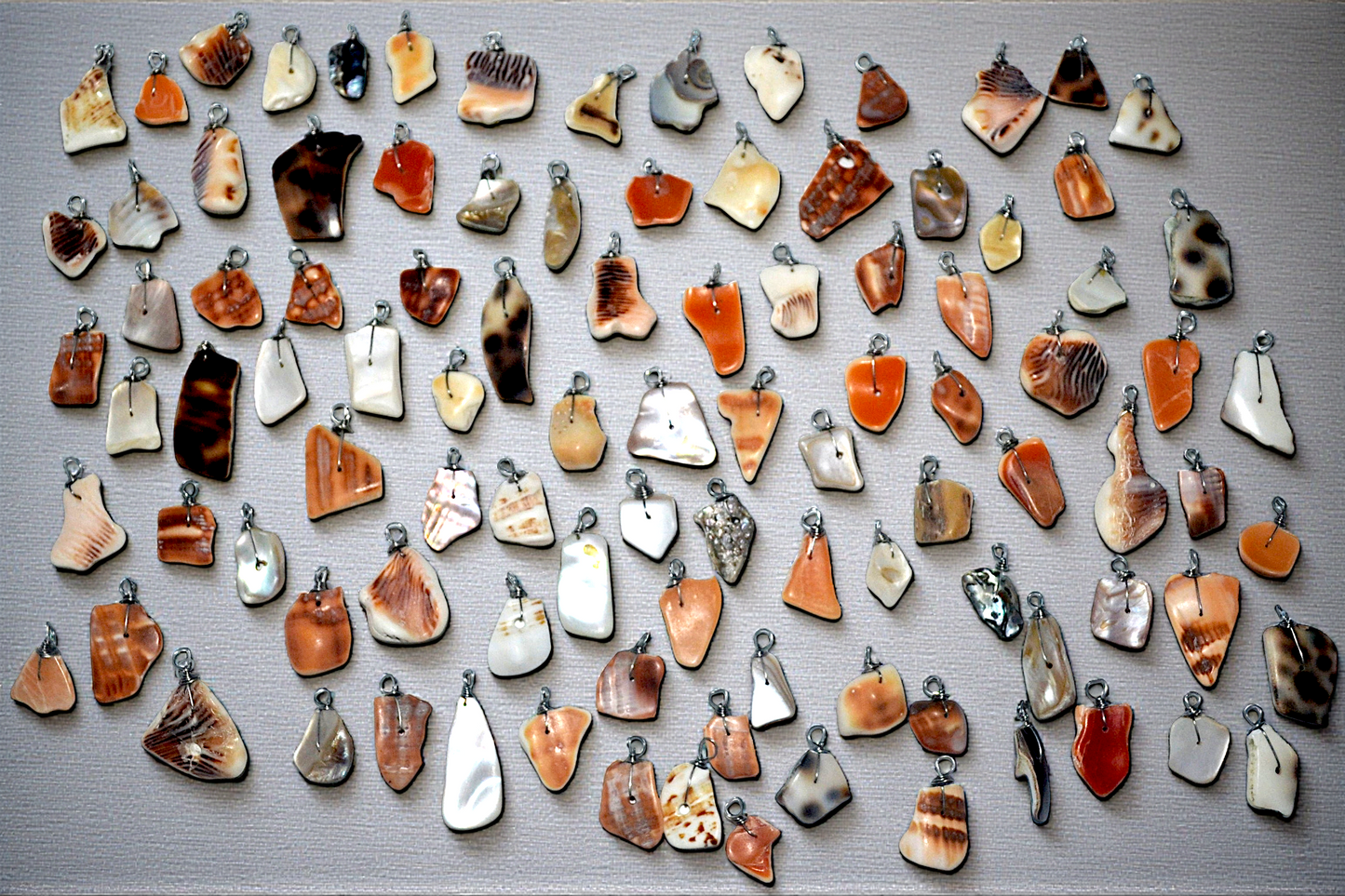 P-10 Assorted Seashell Charms Wire-wrapped for Pendants