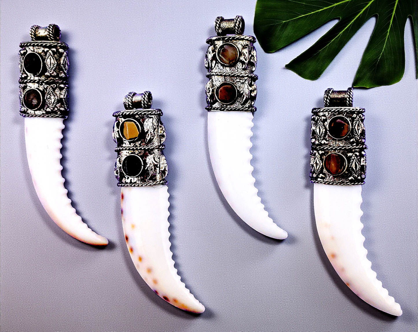 P-207 Tiger Cowrie Shell Fang Pendants