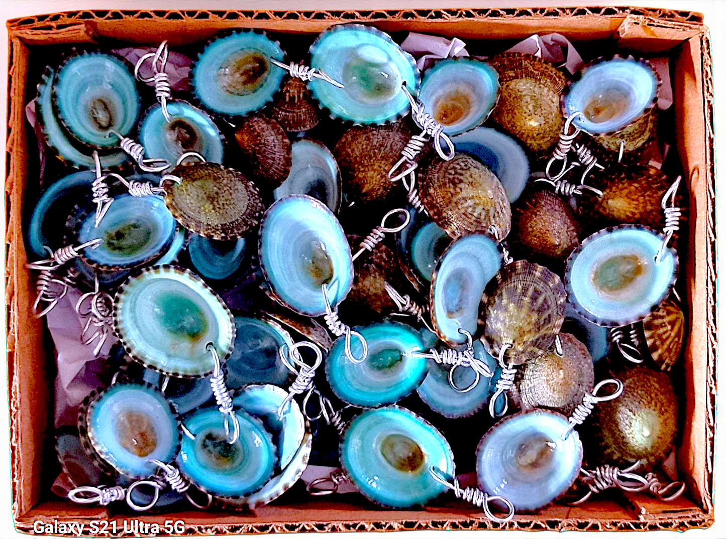 P-253 Wire-wrapped Green Limpet Shell Pendants