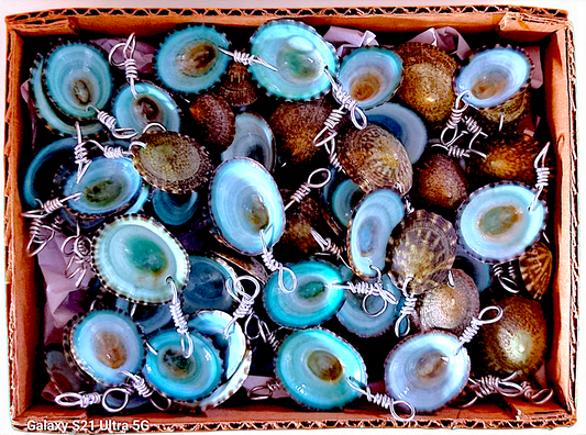 P-253 Wire-wrapped Green Limpet Shell Pendants