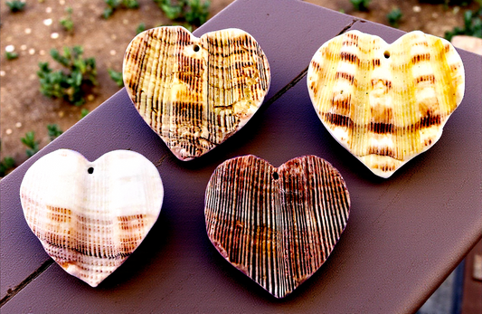 T-113 Lion's Paw Seashell Pendants