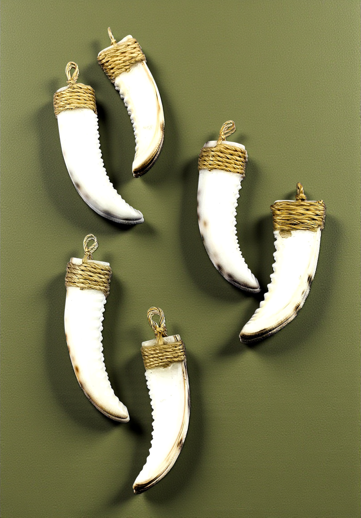 T-138 Tiger Cowrie Teeth Pendants