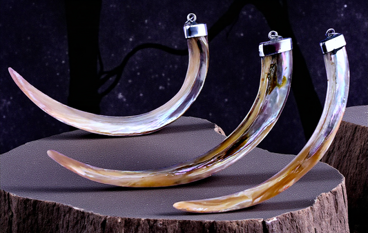 T-152 Abalone Shell Tusk Pendants