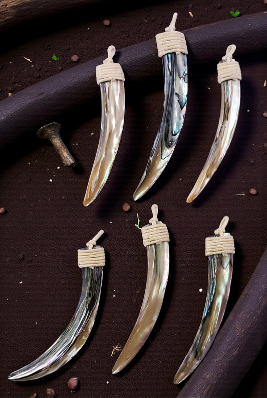 T-170 Abalone Tusk Pendants