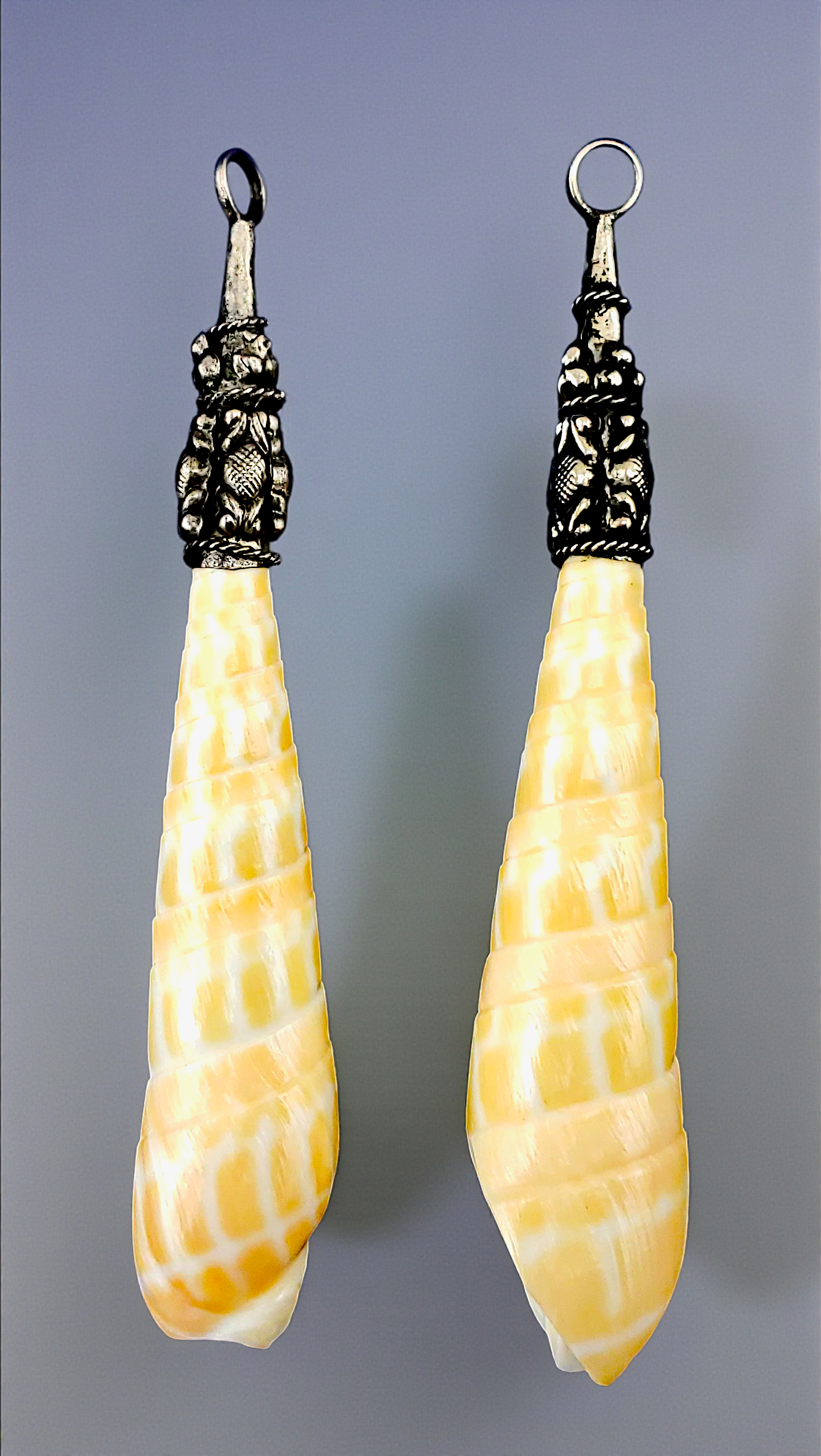 T-2604 Terebra Shell Pendants