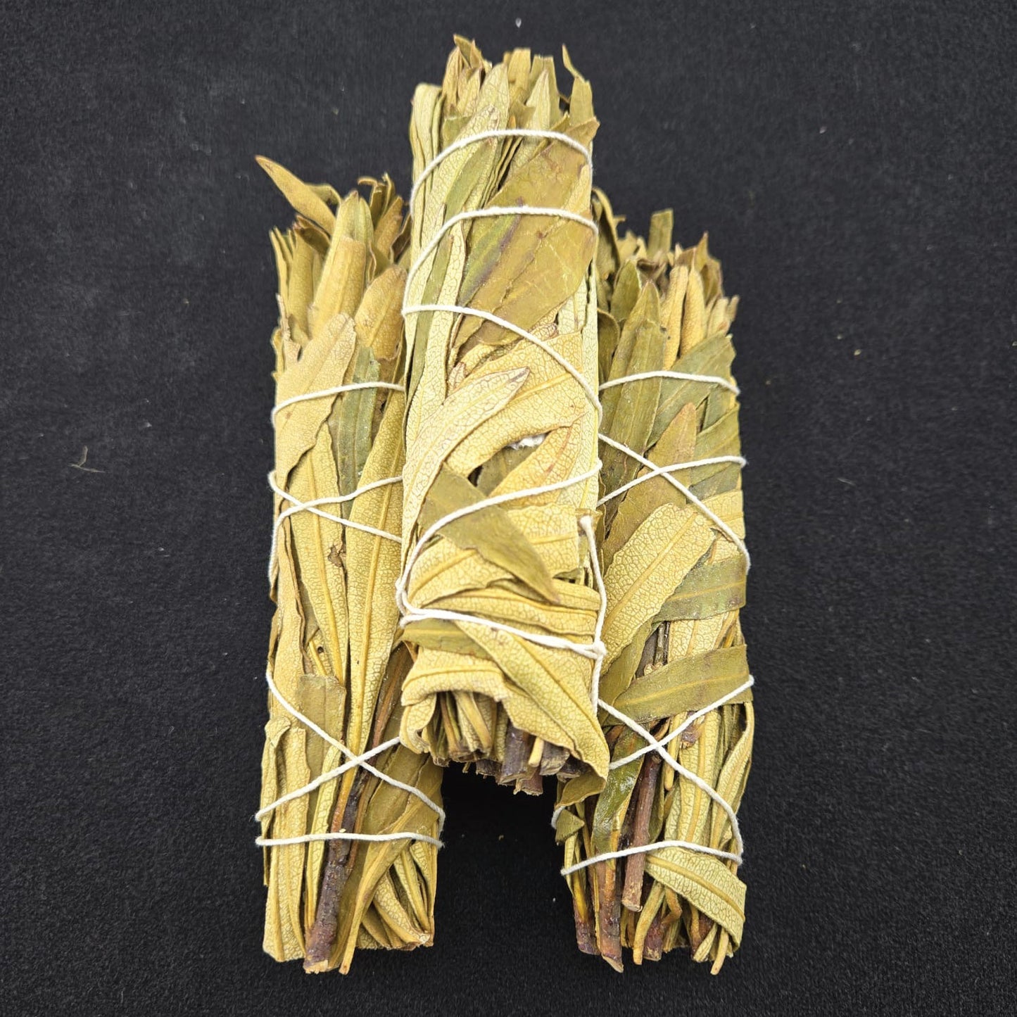 T-2774A (Yerba Santa Bundle 4")